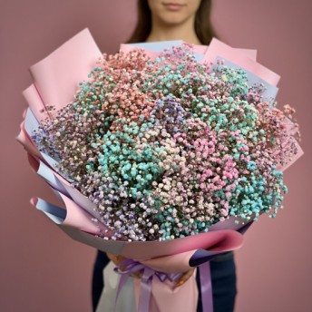 Гіпсофіла кольорова 19 шт