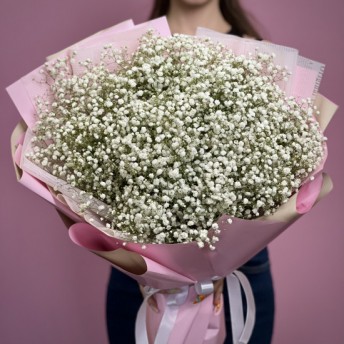 Гіпсофіла біла 21 шт