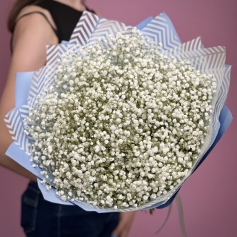 Гіпсофіла біла 19 шт