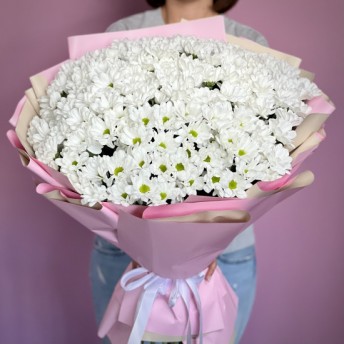 Букет из 31 кустовой хризантемы