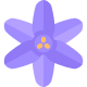 оплата