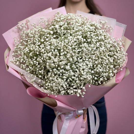 Гіпсофіла біла 21 шт