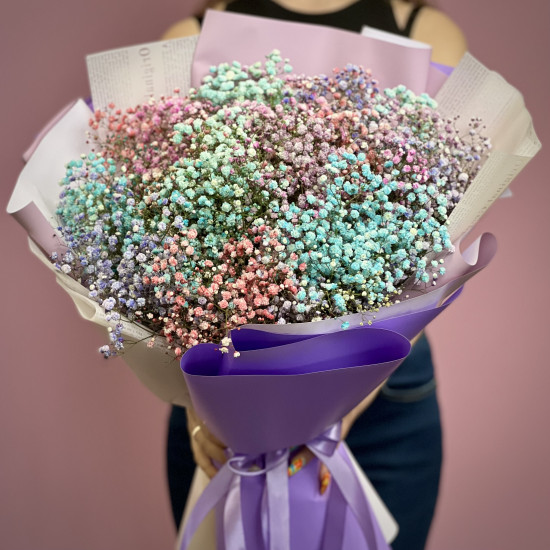 Гіпсофіла кольорова 21 шт