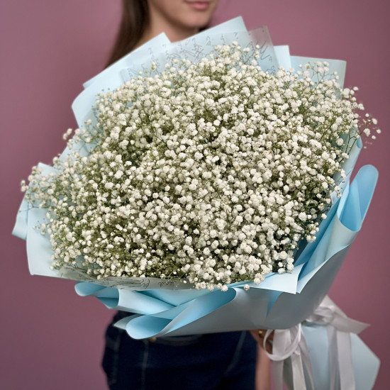 Гіпсофіла біла 15 шт