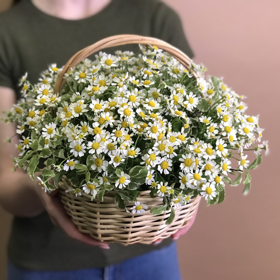 11 ромашок у кошику XS