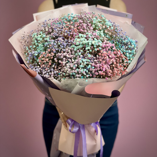 Гіпсофіла кольорова 15 шт