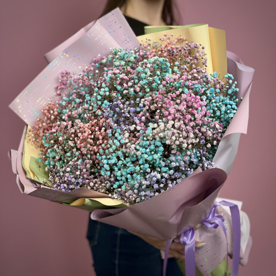 Гіпсофіла кольорова 25 шт